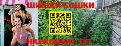 индика Пенза