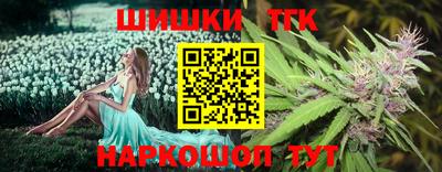 индика Пенза