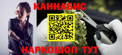 индика Пенза