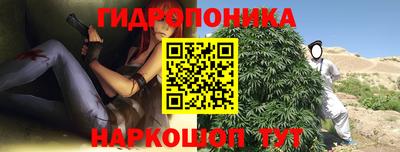 индика Пенза