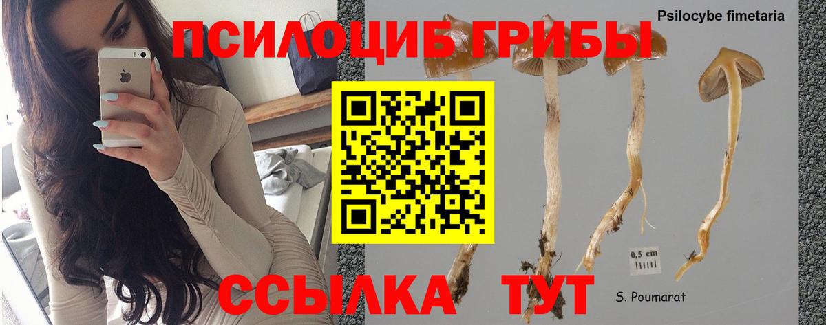 Псилоцибиновые грибы Magic Shrooms  наркотики  Нарткала  Вход с VPN 