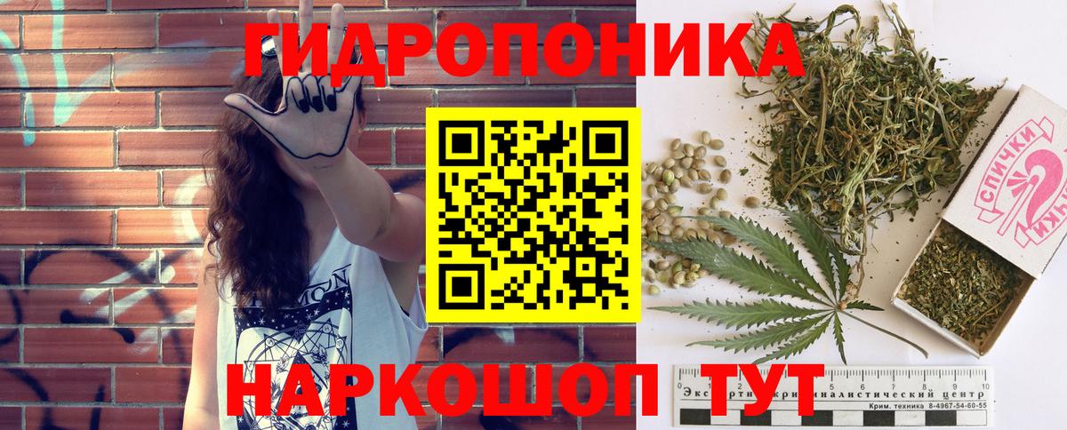 Канабис сатива Нарткала